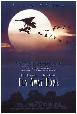 伴你高飞 Fly Away Home[电影解说]