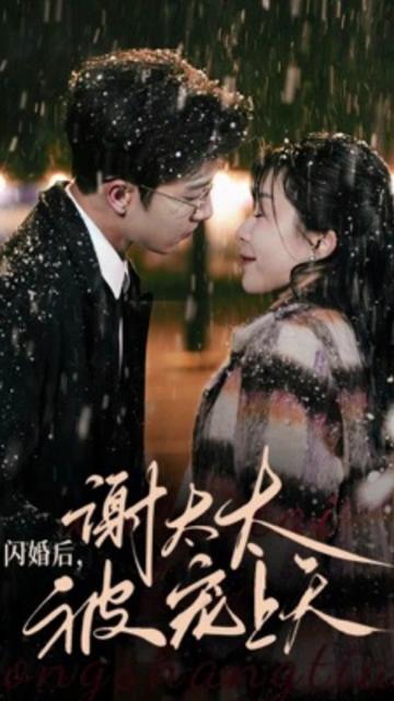 闪婚后,谢太太被宠上天