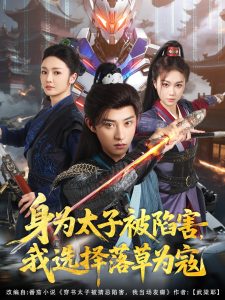 身为太子被陷害,我选择落草为寇