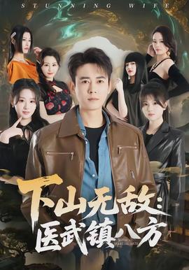 下山无敌：医武镇八方